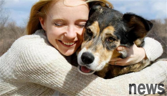 The dog breed you prefer can often reflect your unique personality and taste!