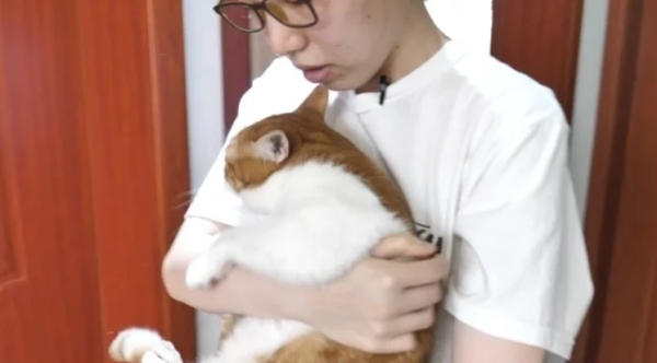 Can you still make money by petting a cat? The 