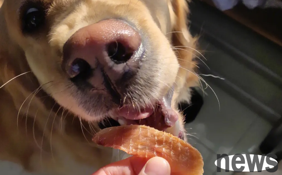 You must know how to cook chicken jerky!