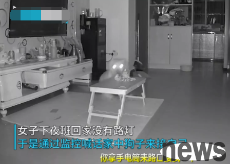 It was getting late when the owner came home from get off work, so he called his dog to pick him up from the air.