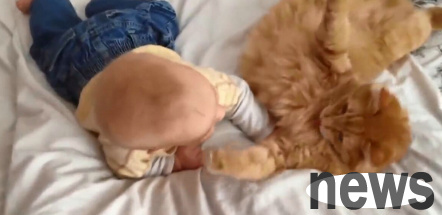 I started sucking cats at such a young age. I will definitely be a proper cat slave when I grow up.